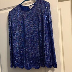 Valerie Stevens Blue Sequin Silk Top. 
Size 10